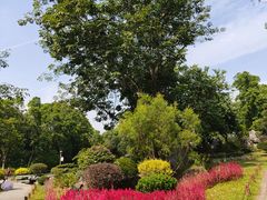 -东莞植物园