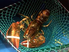 -小火花·干式熟成牛排馆Spark SteakHouse(剑桥郡店)