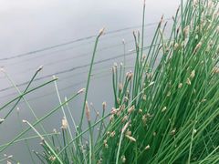 -青城公园