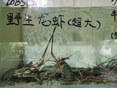 -海盗餐厅