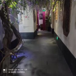 -盘子女人坊生日照·摄影馆(华强店)