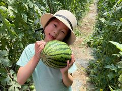 -庞各庄西瓜蔬菜采摘园·锦华瓜园
