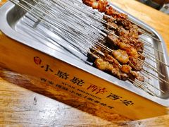-福苗小骆驼烧烤(莲湖路店)