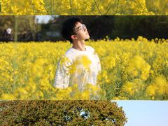 -昭明书院