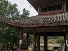 -长寿村