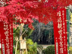 -醍醐寺