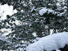 -北海道神宫