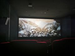 -太平洋影院(西村店)