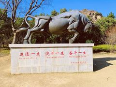 -灵岩山风景区