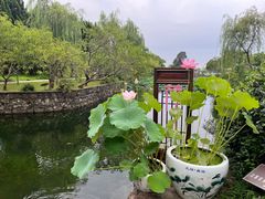 -无锡蠡湖国家湿地公园-蠡园