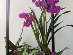 -厦门园林博览苑