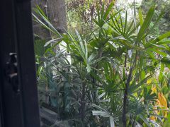 -大妙火锅·非物质文化遗产(东湖公园店)