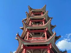 -蔡伦竹海