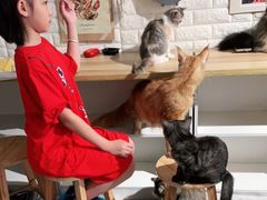 -平行世界·猫咖(首经贸店)