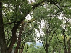 -岳麓山风景名胜区