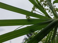 -白鹭湾湿地公园