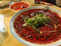 -胖大姐黄辣丁鱼庄(新津店)