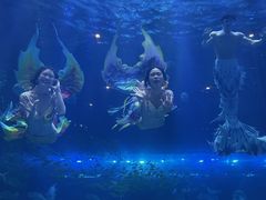 -华夏文旅海洋公园