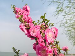 -呼兰河口湿地公园