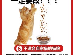-艾吉宠物医院·疑难杂症转诊中心·猫友好(碧江路院)