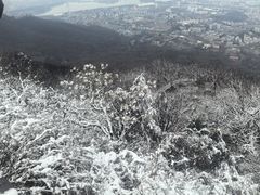 -紫金山天文台
