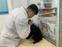 -乖乖乐动物医院(小汤山分院)