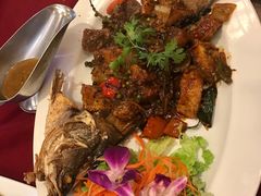 -Daddy Nimman Chiang Mai
