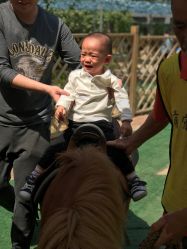 -萌宠亲子动物乐园(槐房万达店)