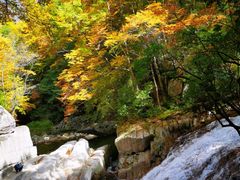 -光雾山十八月潭风景区-售票处