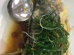 -荣誉大酒店·荣誉海鲜酒楼(晋江电力店)