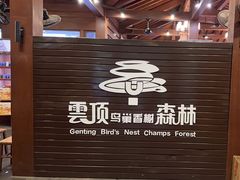 -亚龙湾热带天堂森林公园