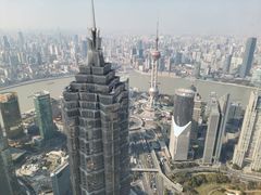 -上海柏悦酒店·世纪100牛排馆