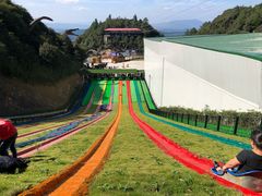 -梦幻奥陶纪景区