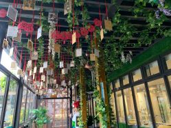 -保丽宝泰母婴护理院·月子中心·产康·中医(常州店)