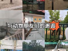 -郑州市动物园