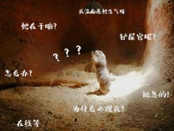 -酷嗒动物文化乐园(cutezoo西溪乐天城店)