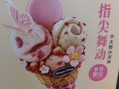 -哈根达斯(国瑞店)