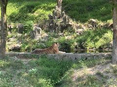 -杭州野生动物世界
