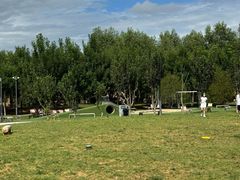 -爪吧宠物乐园 (温榆河示范区店)