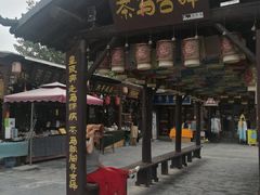 -茯茶镇