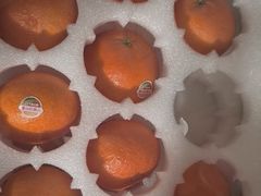 -西郊国际农产品交易中心