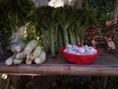 -楠柏弯休闲山庄(梨花溪店)