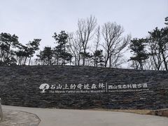-北京西山国家森林公园