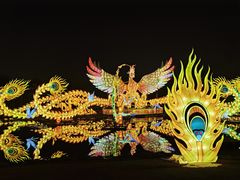 -武汉园博园(武汉自然博物馆)