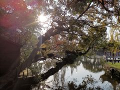 -江心屿景区