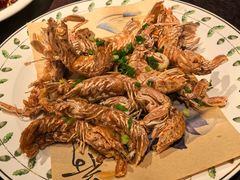 -单家老院·院子里的青岛菜(沙子口店)