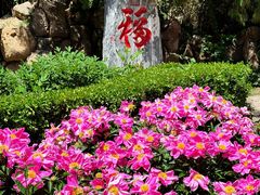 -潭柘寺景区