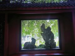 -桂湖森林公园