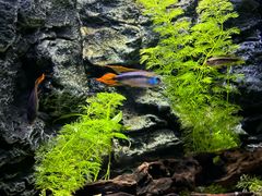 -上海海洋水族馆