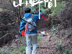 -青龙山生态文化旅游区(慈云寺)